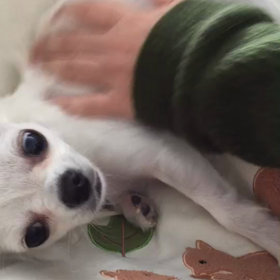 ダブルなぜなぜ。の画像