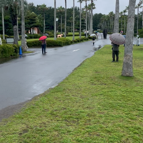 三蔵日記　　伝説は、はじまったの画像