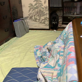 足取り軽やかソック二十歳越えの画像