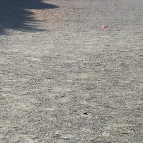 2月18日 400インターバル①の画像