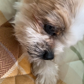 ガムを食べるつぶの画像