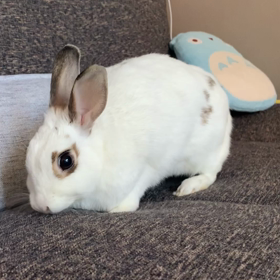 嬉しいこと★の画像