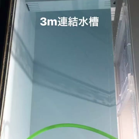 メイン水槽搬入完了です！の画像