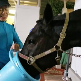 マイペースの画像