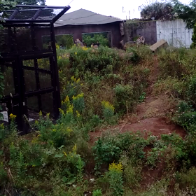 多摩動物園行ってきました。の画像