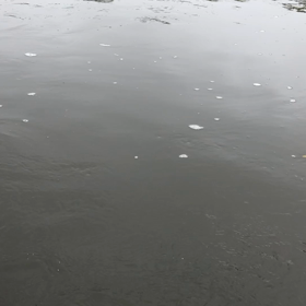 釧路川カヌー下りの動画を！！の画像