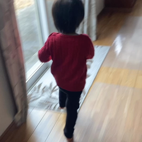 ピアノは弾くものではない、周りを走るものだ！の画像