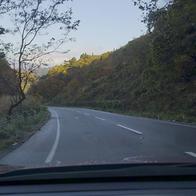 紅葉の様子の画像