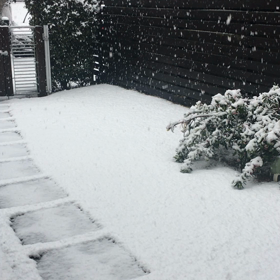 積もってきましたの画像