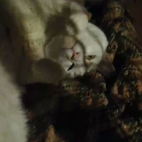 いい雰囲気の画像