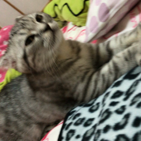 ちくわのふみふみ(#^.^#)の画像