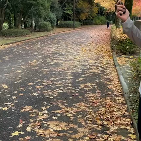 11月5日  1000m②の画像