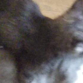 半日休みの画像