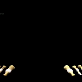 【骨】と【腱】の画像