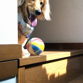 ママちゃん お掃除お手伝い階段編の画像