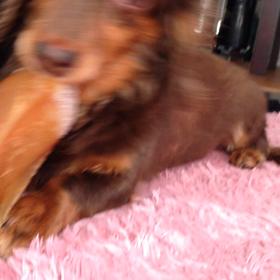 もぐもぐ♡初動画の画像