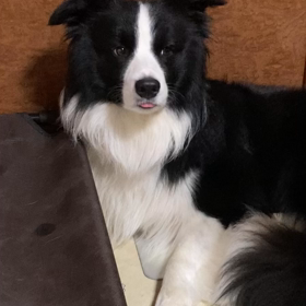 秋の気配を感じるこの頃の画像