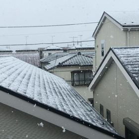 雪だぁ〜〜‼︎の画像