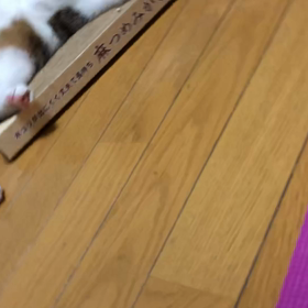 私は既に新型コロナウイルスの抗体を持っているのではないか？の画像