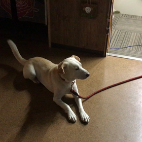 今年の…の画像