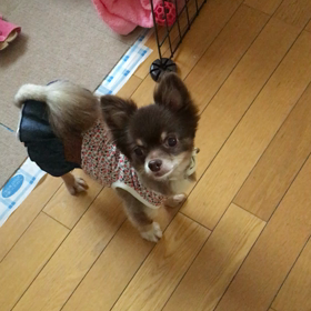 ☆すっかり甘えん坊☆の画像