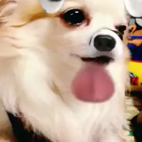 顔認識 (OvO)の画像