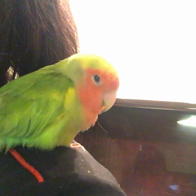 ★何もできませんの画像