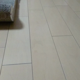 めちゃ元気の画像