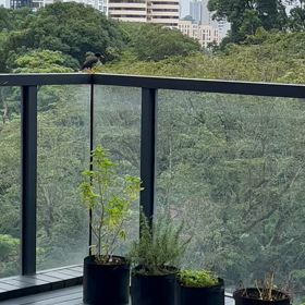 小さなお友達の画像