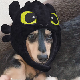 おかえりなさい吠え吠えをしないシステム の画像