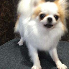 早くおろせ‼️の画像