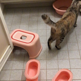 衝撃的なシーンには続きがあった‼️の画像