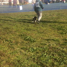 競技会リベンジの画像