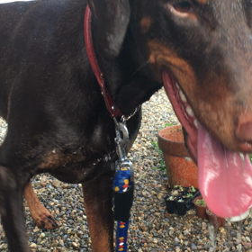 【私の自己紹介】ブログ始めました！の画像