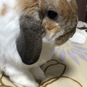 時は間違いなく過 ぎての画像