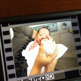 メロメロやなwムービーの画像