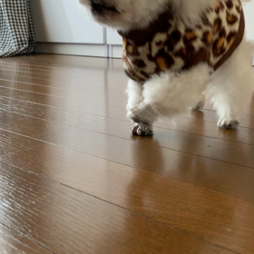 攻撃的レアルの画像