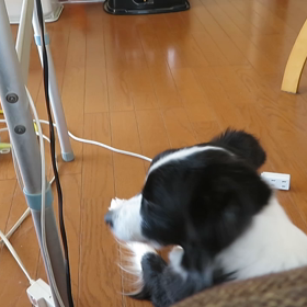 今日も元気の画像