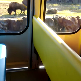 ⑨和歌山県アドベンチャーワールドの画像