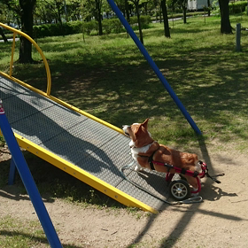 暴走か激走かの画像