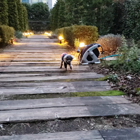 購入した品物の除菌の仕方の画像