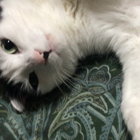 まつたりな夜の画像