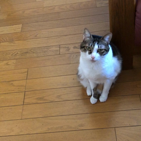 娘とコロナ禍　　主人の癖… いつものデール！の画像