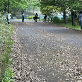 リレー選考会(男子)中間付近⑨の画像