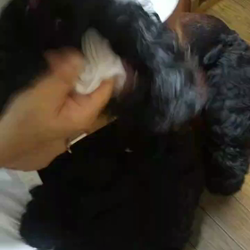 案ずるほどでもなくてよかった　台風13号の画像