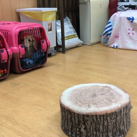 チョビ編。の画像