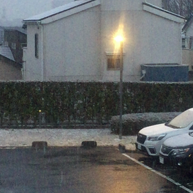 雪の朝  ※動画あり  『おはようございます』の画像