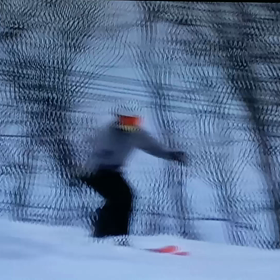 小さめサイズのコブと大きいコブの画像