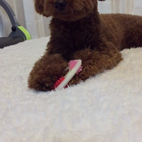 お散歩中に。。。の画像