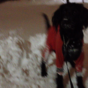 久々の動画。の画像